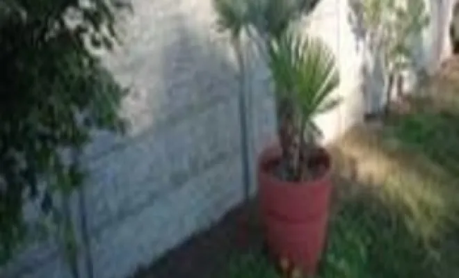 Clôture béton imitation pierre - Cergy, Cergy, Entreprise Dargent Laurent